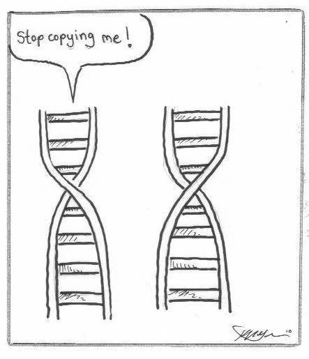 genetics jokes